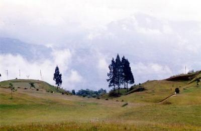  Golf in the hills
